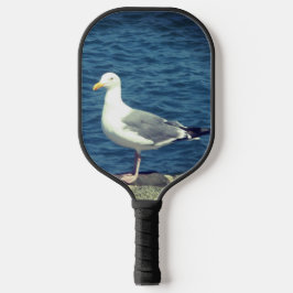 Palas De Pickleball Gaviota En La Bahía