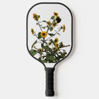 Palas De Pickleball Girasol Amarillo Vibrante