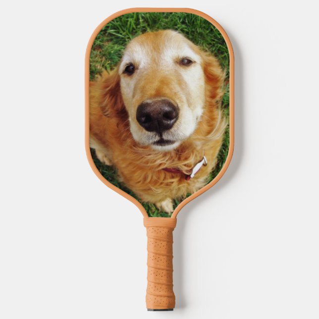 Palas De Pickleball Golden Retriever (Anverso)