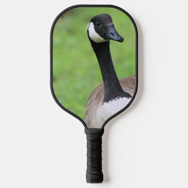 Palas De Pickleball Goose canadiense (Anverso)