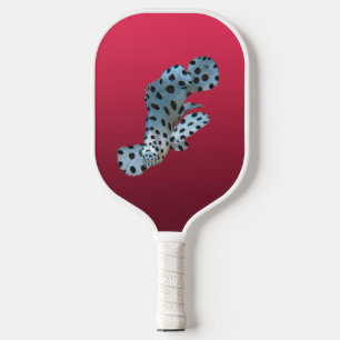 Palas De Pickleball Gradiente Magenta - de profundo a claro   Estados 