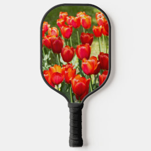Palas De Pickleball Gran campo de tulipanes rojos sierra
