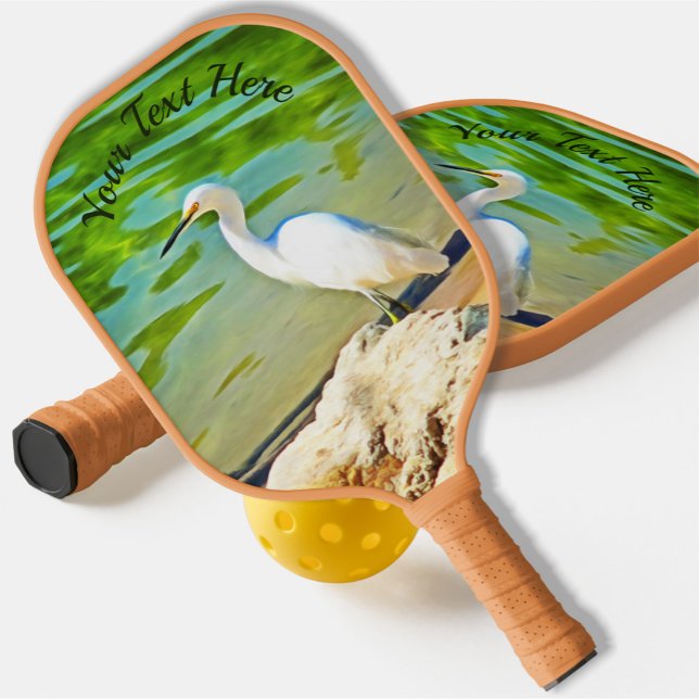 Palas De Pickleball Grúa En El Río Mismaloya 0335 (Subido por el creador)
