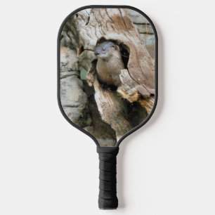 Palas De Pickleball Harry Otter