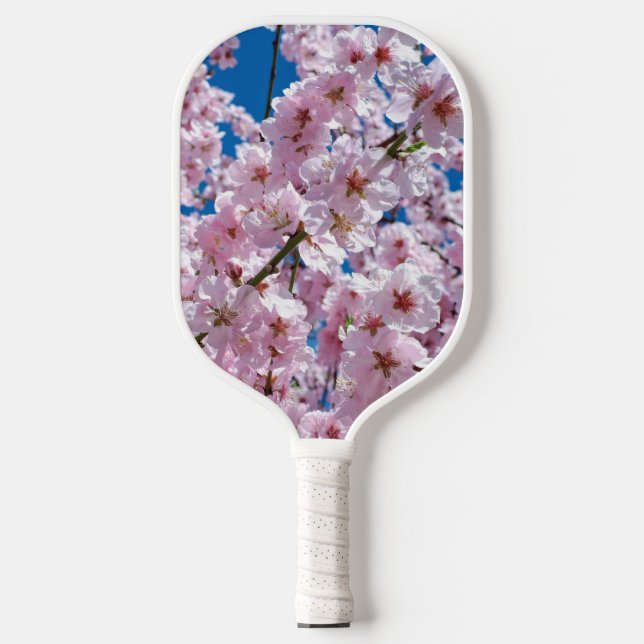 Palas De Pickleball Hermosas flores de cerezo de primavera (Anverso)