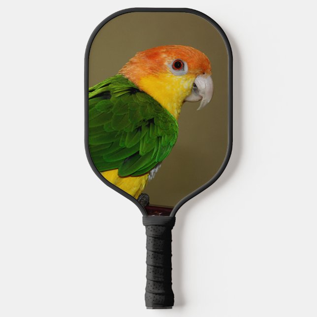 Palas De Pickleball Hermoso loro caique blanco con vientre (Anverso)