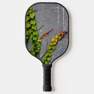 Palas De Pickleball Hojas otoñales
