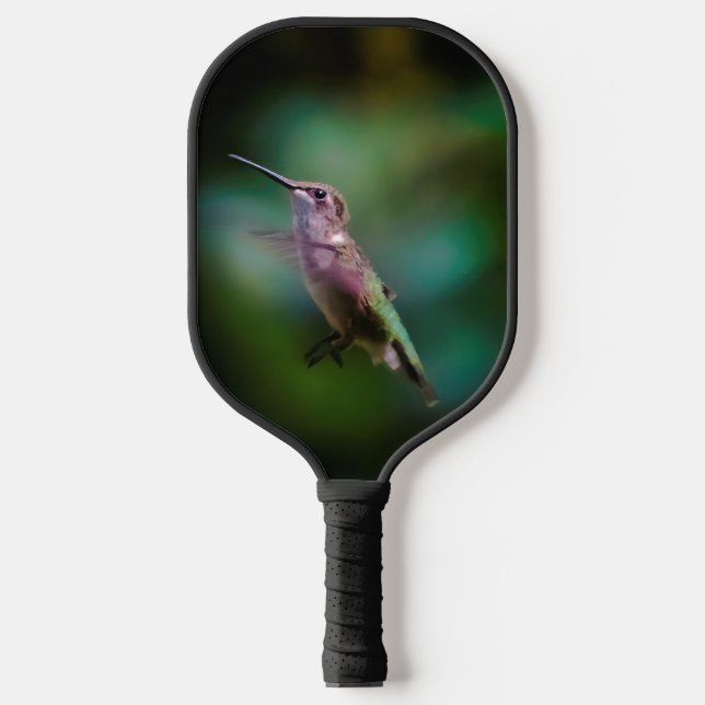Palas De Pickleball Hummingbird - Fotografía original (Anverso)