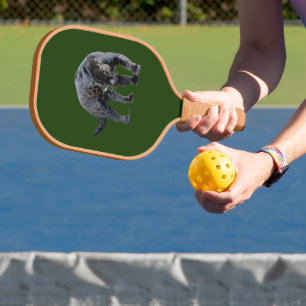 Palas De Pickleball Jaguar Diablo verde en canto de remo