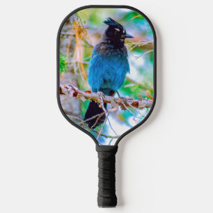 Palas De Pickleball Jay de Steller - Fotografía original