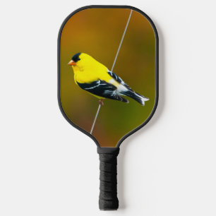 Palas De Pickleball Jilguero Americano - Fotografía Original