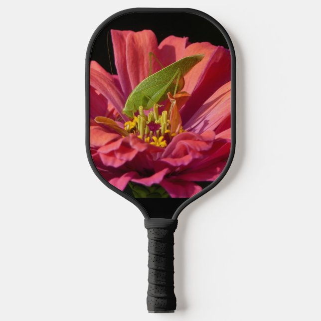 Palas De Pickleball Katydid sobre Zinnia (Anverso)