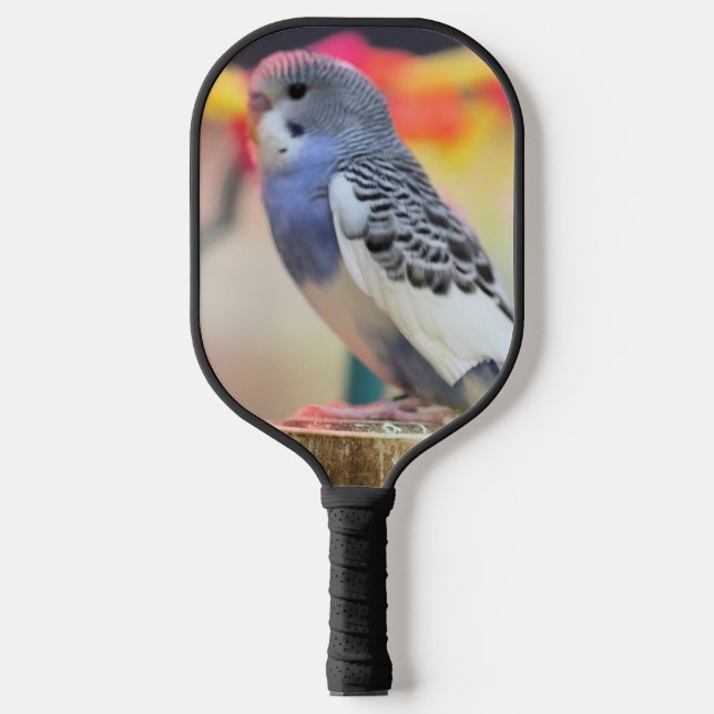 Palas De Pickleball Keet (Anverso)