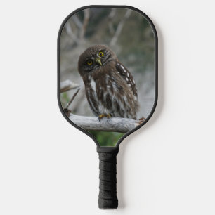 Palas De Pickleball Lechuza pigmea del norte