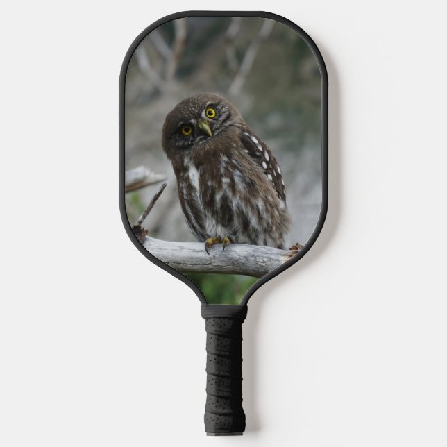 Palas De Pickleball Lechuza pigmea del norte (Anverso)