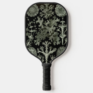 Palas De Pickleball Liquen por Ernst Haeckel, Plantas de la Naturaleza