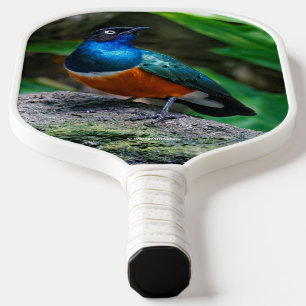 Palas De Pickleball Magnífico sonámbulo Songbird
