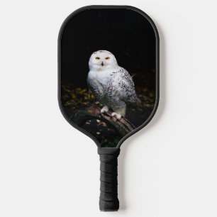 Palas De Pickleball Majestuoso búho de invierno