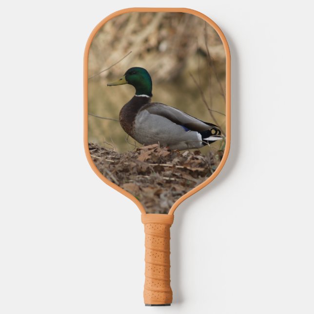 Palas De Pickleball Malard Duck Pickleball Paddle (Anverso)