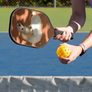 Palas De Pickleball Meerkat Playtime, remo de pelota