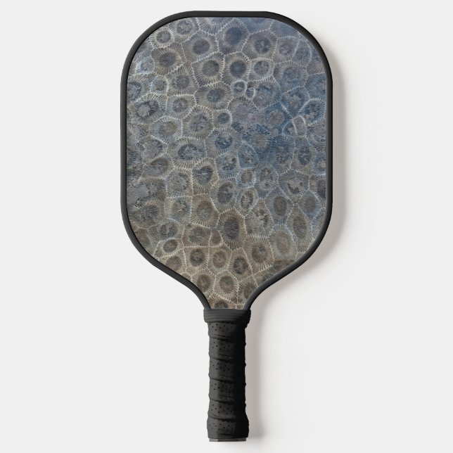 Palas De Pickleball Michigan Petoskey Stone (Anverso)