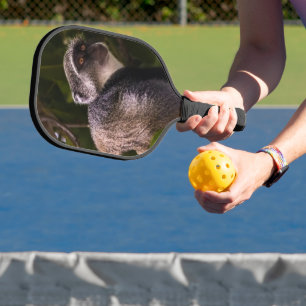 Palas De Pickleball Mono azul, Zanzíbar
