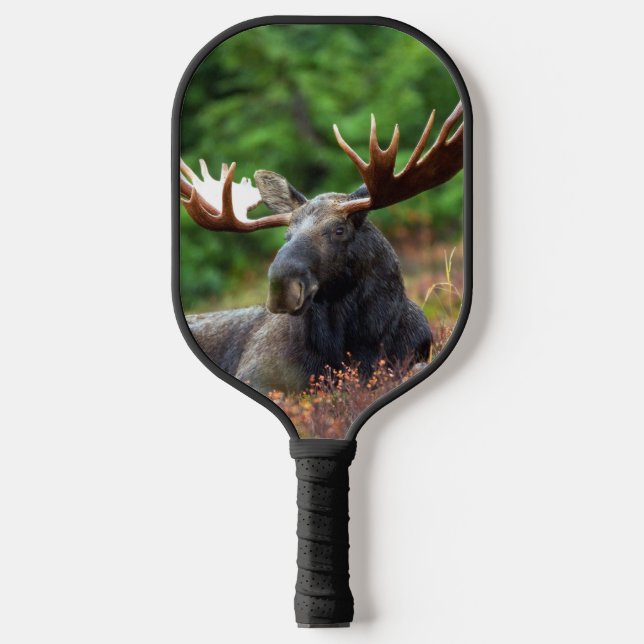 Palas De Pickleball Moose (Anverso)