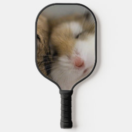 Palas De Pickleball Mover sobre Bob