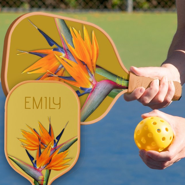 Palas De Pickleball Naranja de nombre de las flores de pájaro (Subido por el creador)