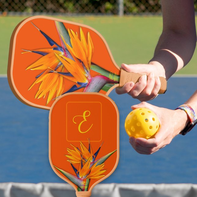 Palas De Pickleball Naranja inicial de pájaro del paraíso (Subido por el creador)
