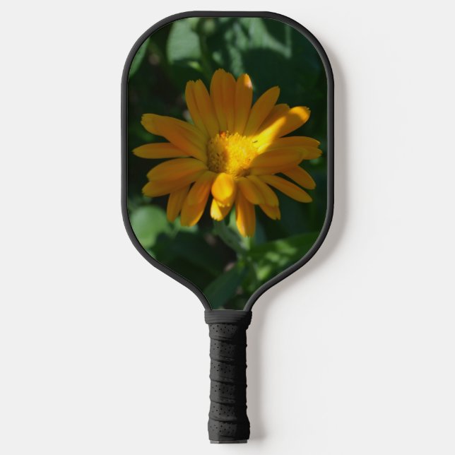 Palas De Pickleball Naranja Pot Marigold Flor (Calendula officinalis) (Anverso)