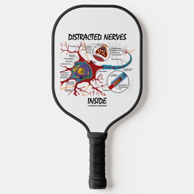 Palas De Pickleball Nervios Distraídos Dentro del Humor de Sinapsis Ne (Anverso)