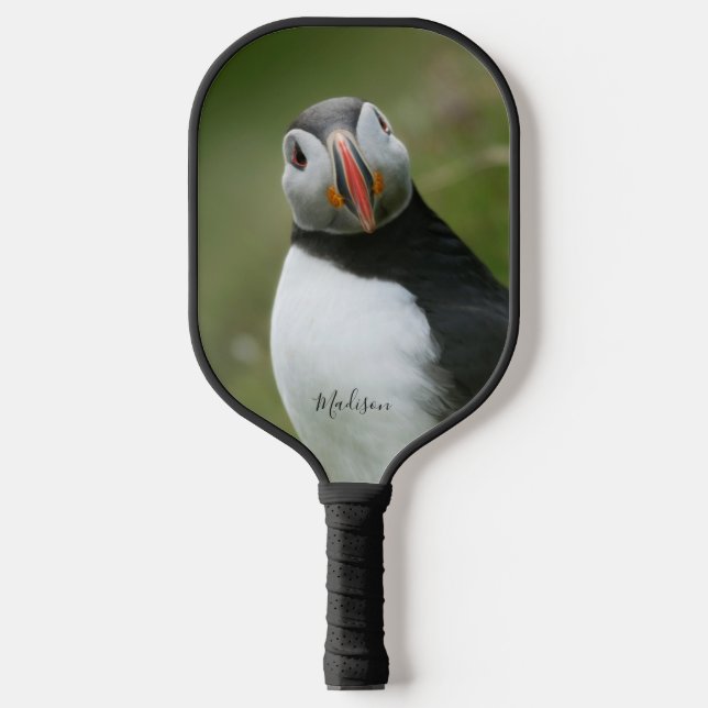Palas De Pickleball Nombre personalizado Puffin (Anverso)