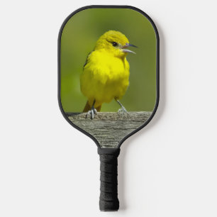 Palas De Pickleball Orchard Oriole - Foto original