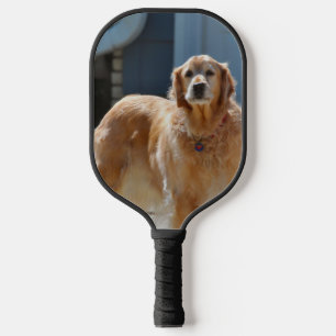 Palas De Pickleball Oro