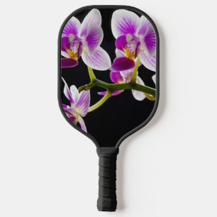 Palas De Pickleball Orquídea blanca y púrpura