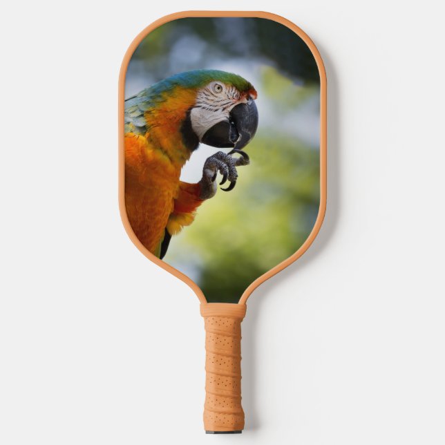 Palas De Pickleball Paddle azul y Naranja Macaw Pickleball (Anverso)