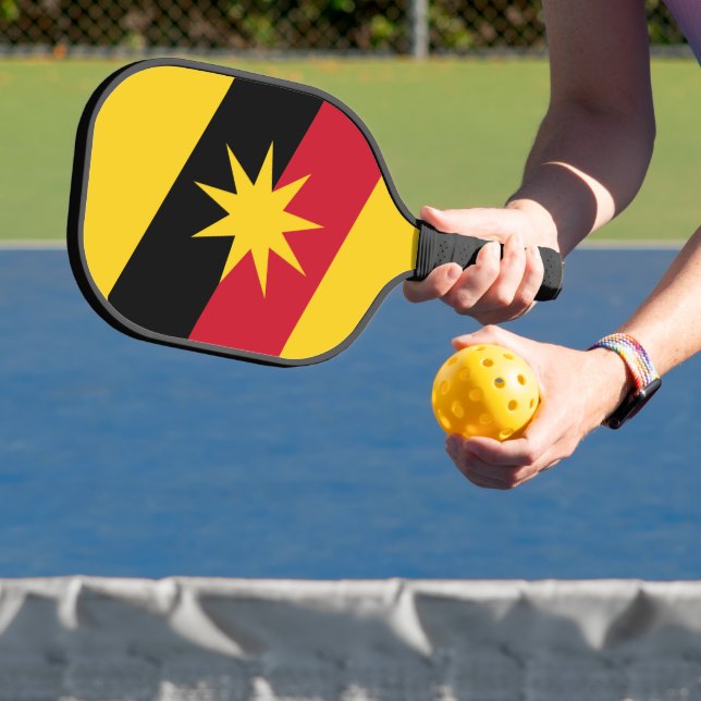 Palas De Pickleball Paddle de bolas (in situ)