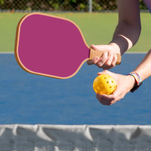 Palas De Pickleball Paddle de bolas para principiantes