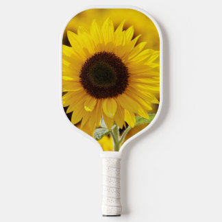 PALAS DE PICKLEBALL PADILLA DE LA BOLA DE LA PICKLE DEL DESALPICADOR