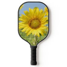 Paleta de Pickleball
