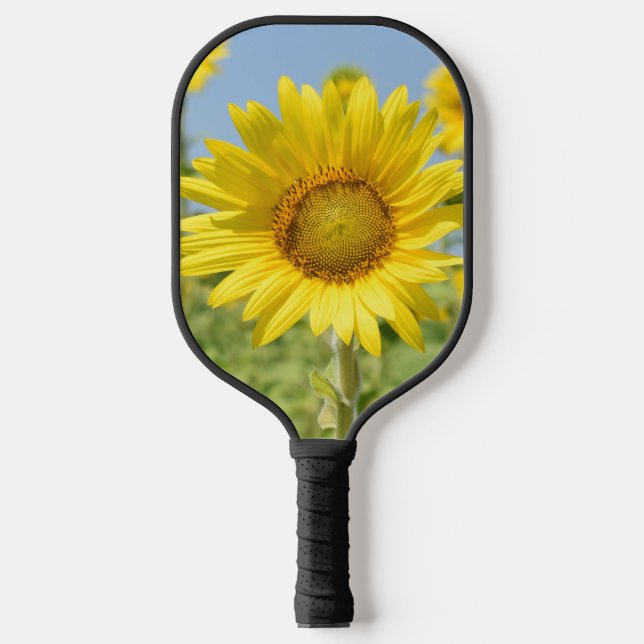 Palas De Pickleball Paleta de Pickleball (Anverso)