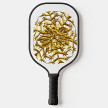 Paleta de Pickleball