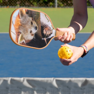 Palas De Pickleball Panda rojiza perezosa