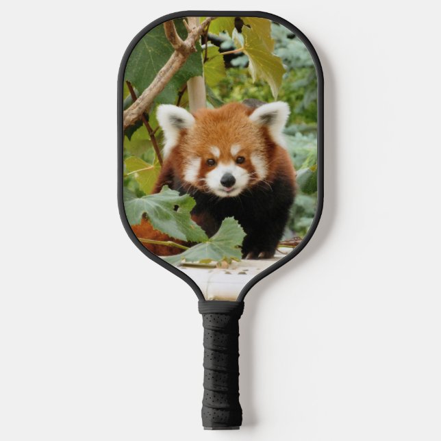 Palas De Pickleball Panda rojo (Anverso)