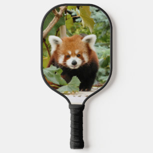 Palas De Pickleball Panda rojo