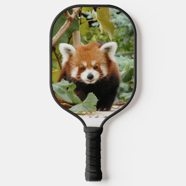 Palas De Pickleball Panda rojo (Anverso)