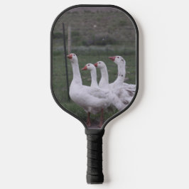 Palas De Pickleball Pato