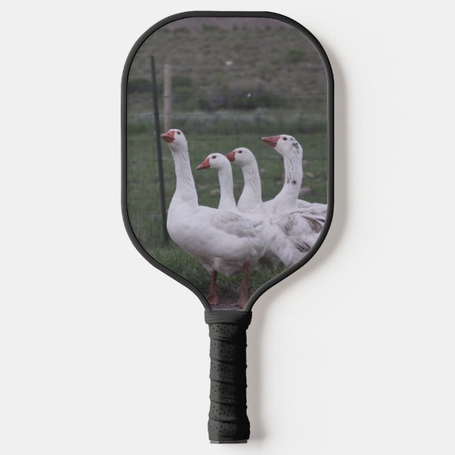 Palas De Pickleball Pato (Anverso)