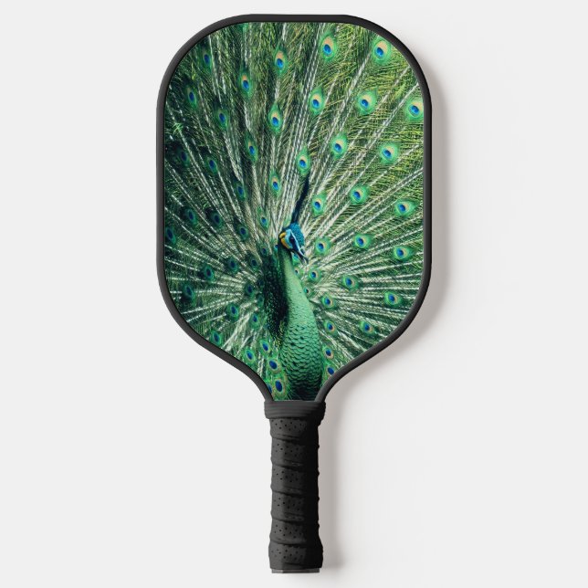 Palas De Pickleball Peacock Strut (Anverso)